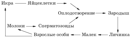 Тесты по биологии за 5-7 класс