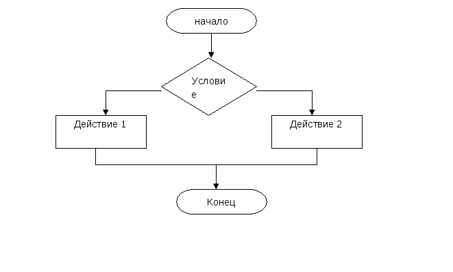 Блок схема по информатике