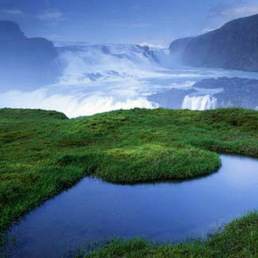 География Исландии: рельеф, климат, растительный и животный мир