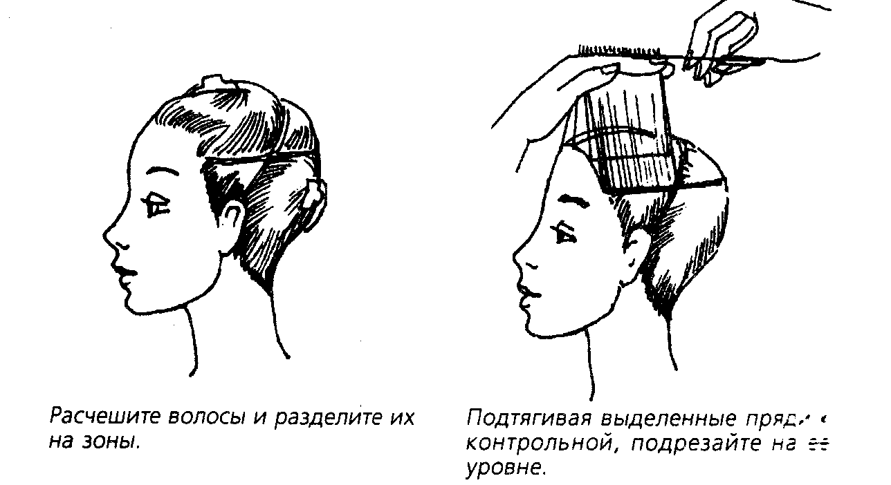 Комплект контрольно-оценочных средств по профессиональному модулю ПМ 01. Выполнение стрижек и укладок волос