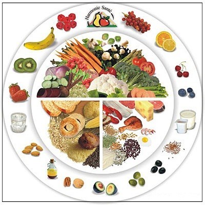 Физиология питания. превращение пищи в организме человека.