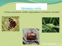 Значення в природі та житті людини комах і хижаків та паразитів.