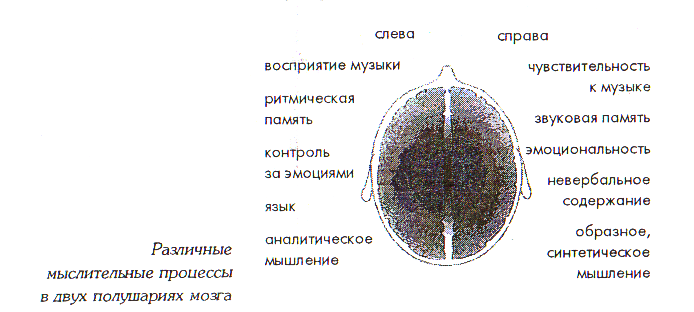 Исследовательская работа на тему Есть ли польза в пении?