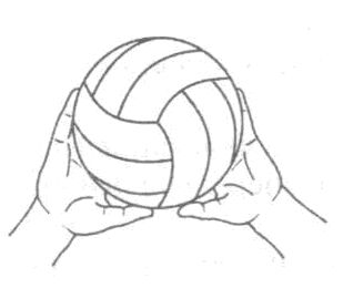 Рабочая программа по внеурочной деятельности Волейбол