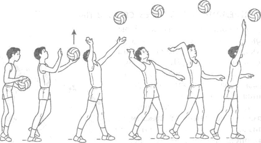 Рабочая программа по внеурочной деятельности Волейбол