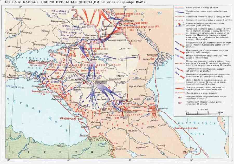 Урок спецкурса История Великой Отечественной войны Битва за Кавказ