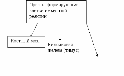 Урок биологии 8 класс Иммунная система человека