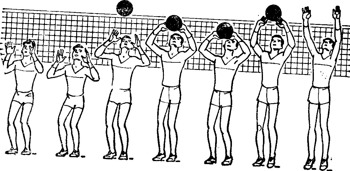Тест по волейболу 7