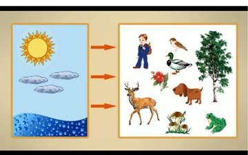 Конспект урока по окружающему миру Живая и неживая природа (2 класс)