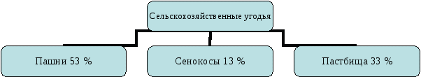 Конспект урока по теме Агропромышленный комплекс Брединского района.