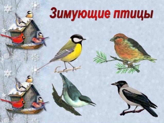 Исследовательская работа Зимующие птицы
