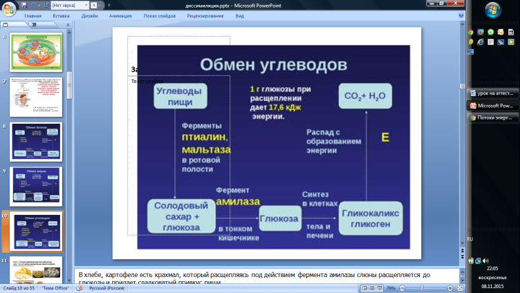 Методическая разработка открытого занятия на тему Диссимиляция (1 курс колледжа, специальности естественонаучного профиля)