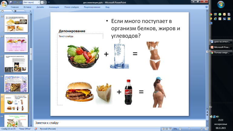 Методическая разработка открытого занятия на тему Диссимиляция (1 курс колледжа, специальности естественонаучного профиля)