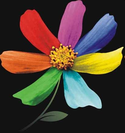 Занятие для детей старшей группы на тему: Цветик-семицветик