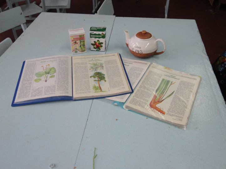 Элективный курс по биологии Мир растений
