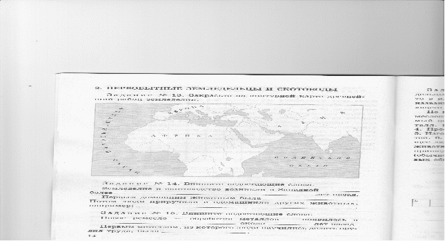 Урок по истории: Возникновение земледелия и скотоводства (5 класс)