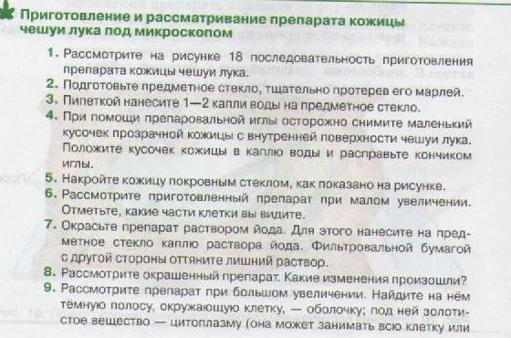 Конспект урока биологии в 5 классе по ФГОС по программе Пасечника