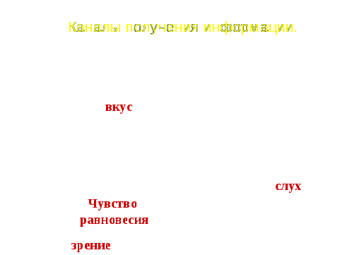 Урок по обществознанию для 10 класса «Проблема познаваемости мира»