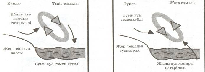 §1. Қозғалыс материяның ажырамас қасиеті. §2..Векторлар және векторларға амалдар қолдану.