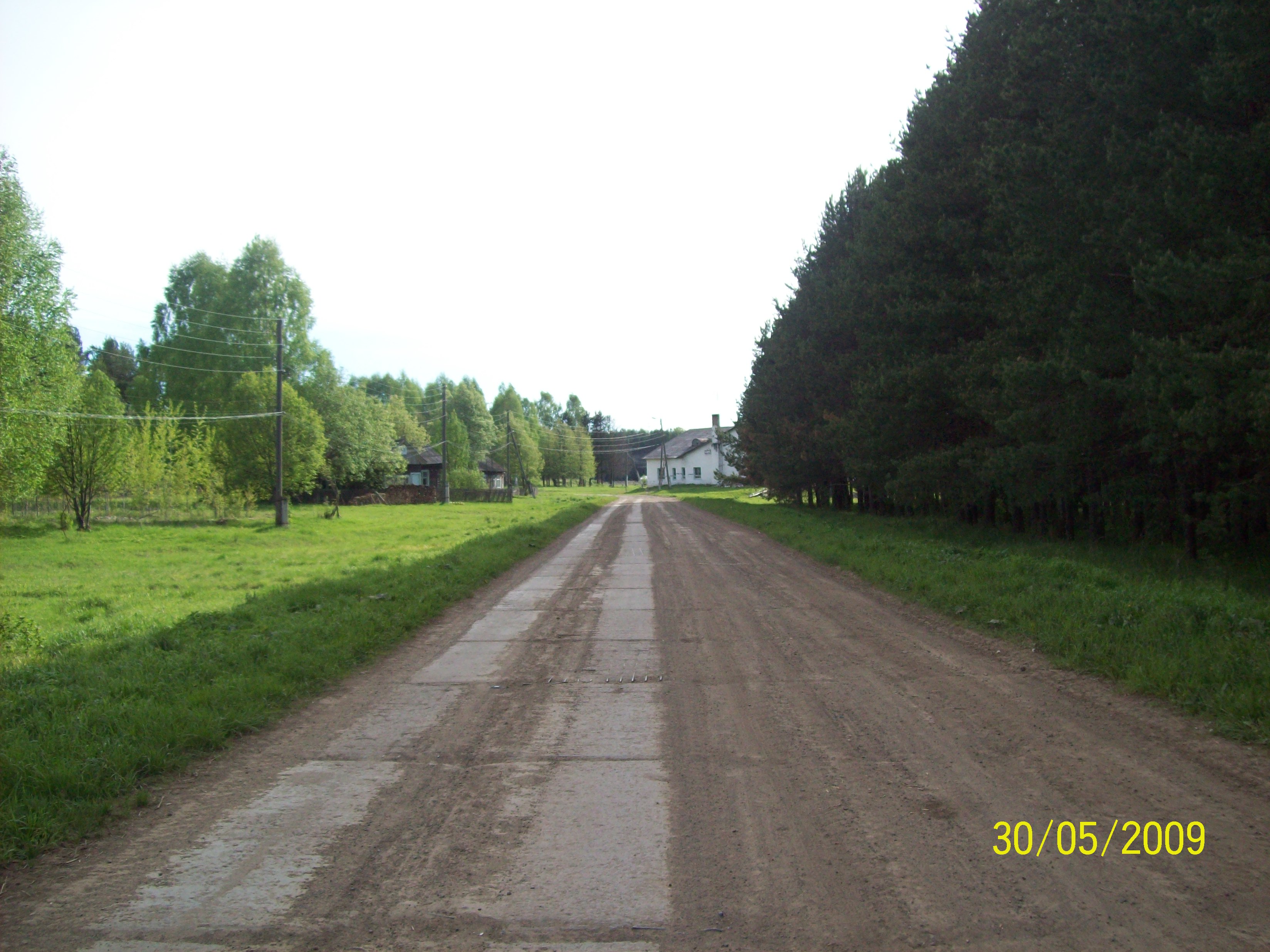 Экскурсия в Кедрово-сосновый парк (летний лагерь)
