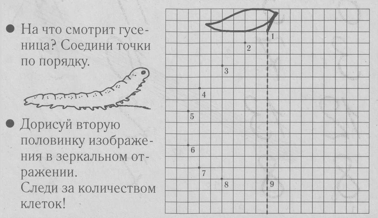 Технологическая карта урока математики на тему Симметрия (1 класс)