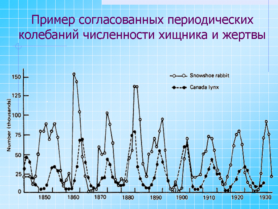 Урок математики в 11 классе по теме математическое моделирование