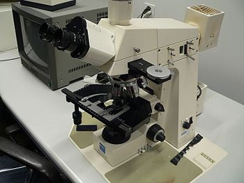 Методические рекомендации при изучении микроскопа (5-8 классы)
