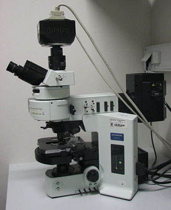 Методические рекомендации при изучении микроскопа (5-8 классы)