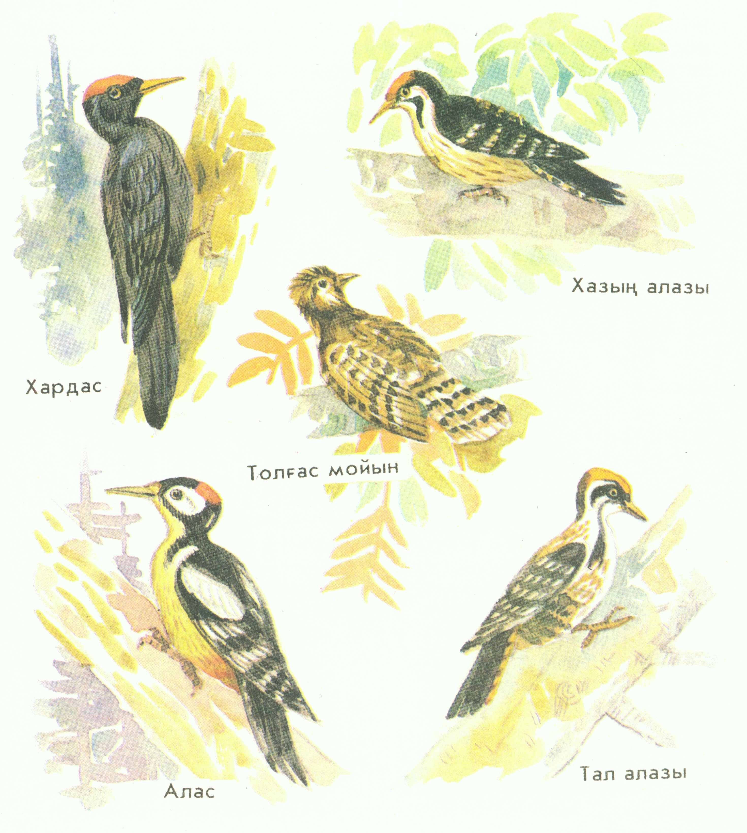 Исследовательская работа Птицы-наши друзья на хакасском языке