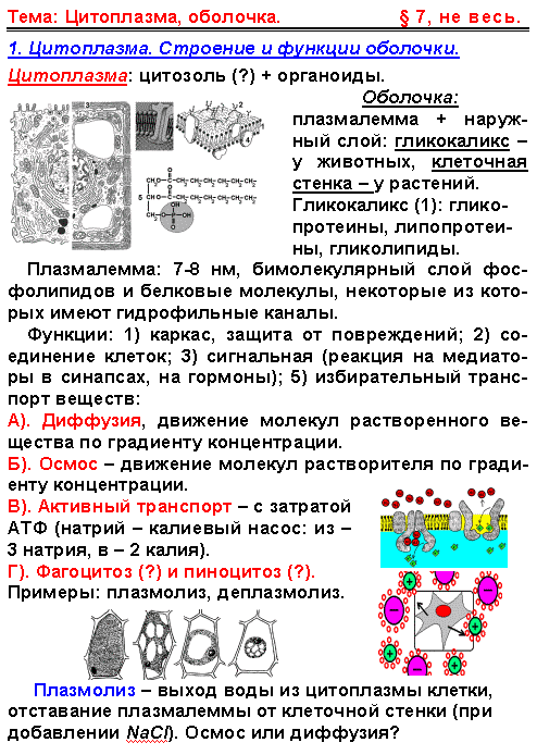 «Применение инструктивных карт при подготовке к ЕНТ и ВОУД по биологии»