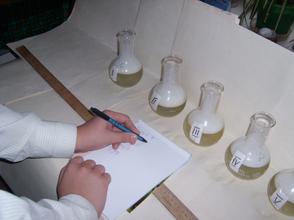 Исследовательская работа по химии «Определение жёсткости воды с помощью раствора синтетических моющих средств».