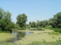 Исследовательская работа по теме: « Природные парки Волгоградской области»