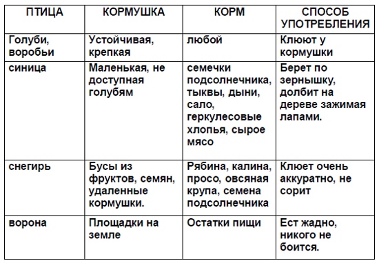 Социальный проект Поможем зимующим птицам!