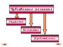 Конспект урока по информатике 6 класс: «Чувственное познание окружающего мира. Построение таблиц в текстовом процессоре Microsoft Word»