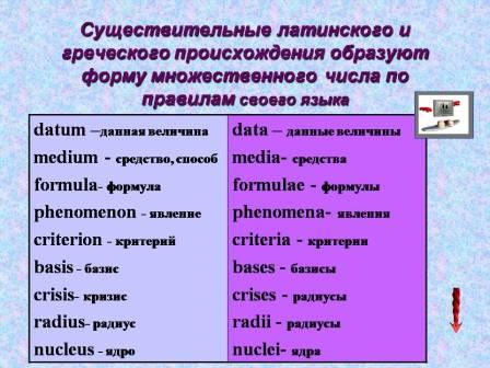 Элективный курс Интерактивная грамматика для учащихся 9-11 классов