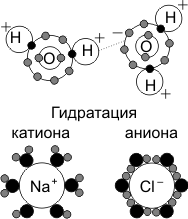 Урок по биологии.Генетика 11 класс