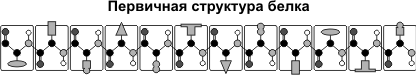 Урок по биологии.Генетика 11 класс