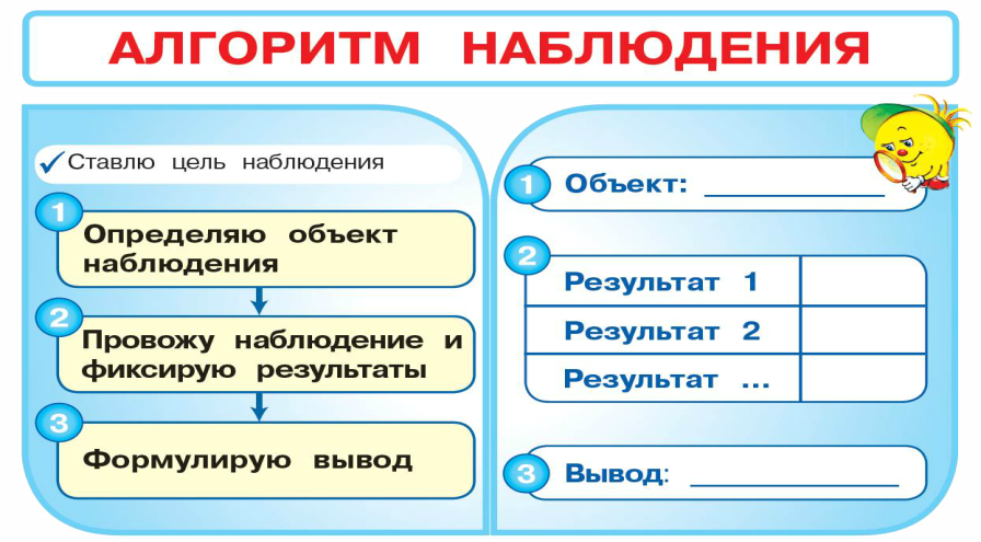 Что открывает мир наблюдательному человеку примеры. Алгоритм наблюдения. Смайлик мир деятельности. Мир деятельности 1 класс презентации к урокам. Мир деятельности описание курса.