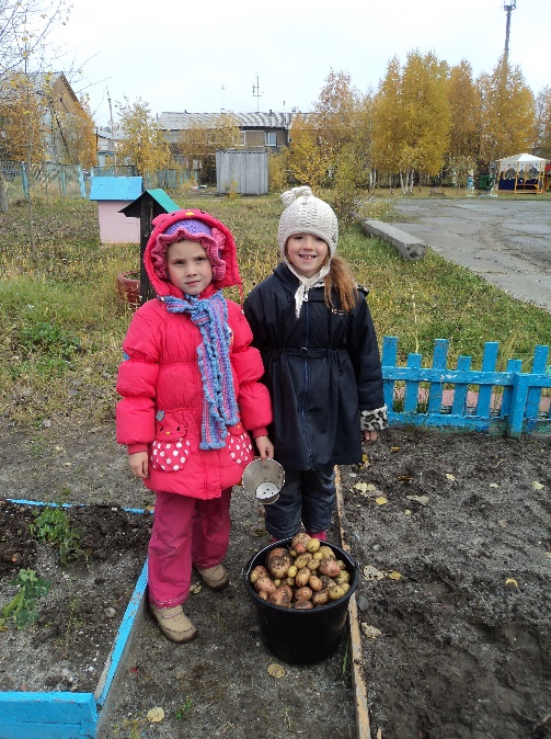 Фотоотчет Осенние хлопоты дошколят