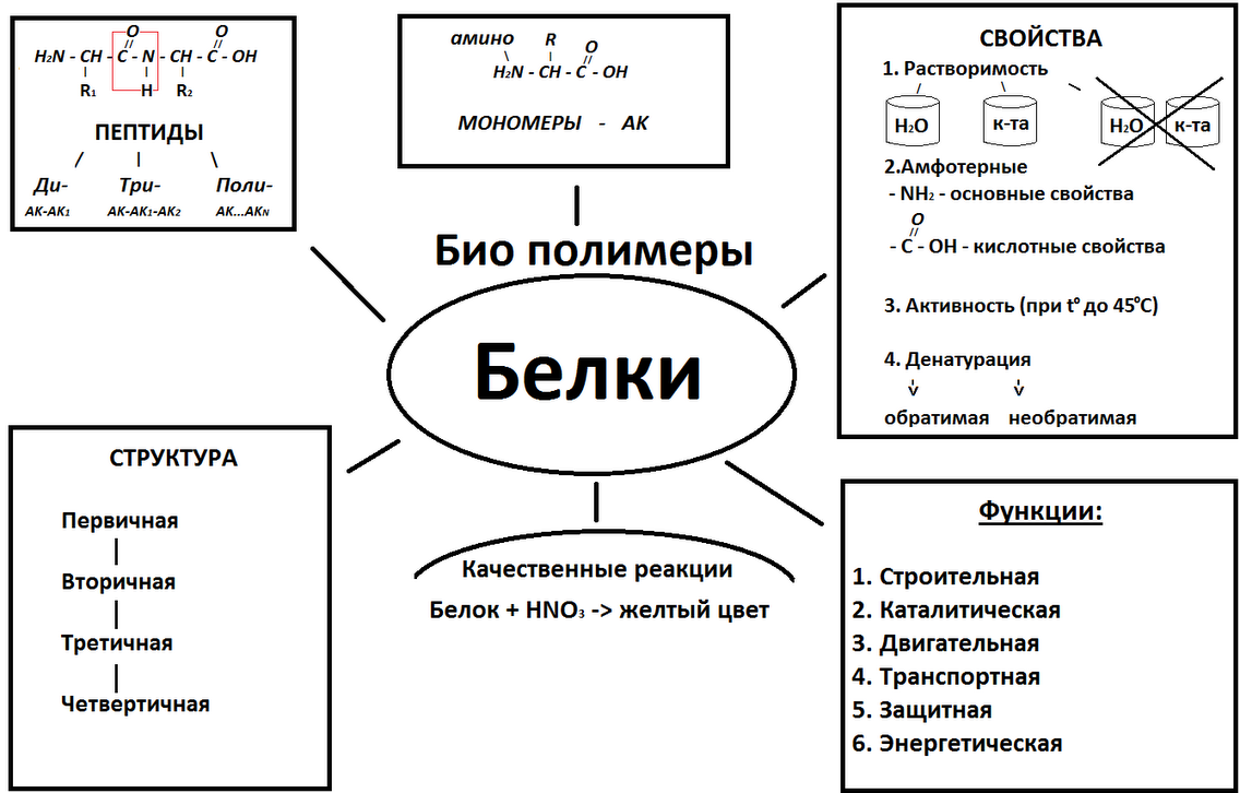 Опорные схемы по биологии