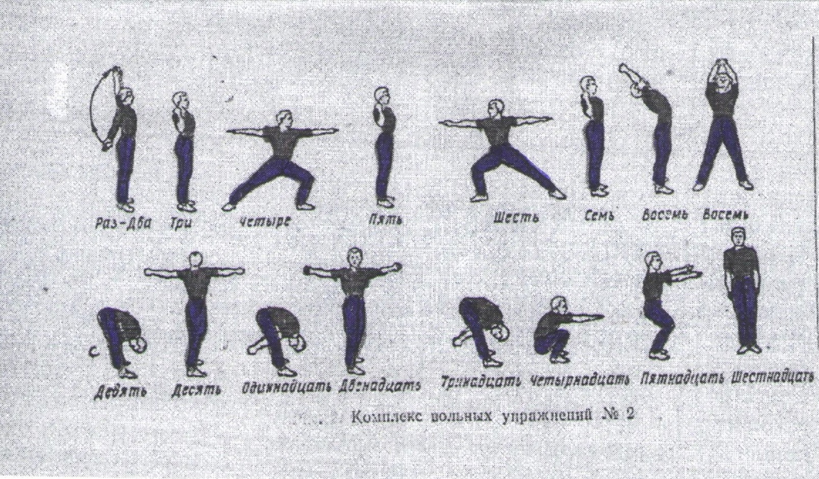 Упражнение на 2 счета. Комплекс вольных упражнений 2. Комплексы вольных упражнений для военнослужащих 1 2 3. НФП 78 комплекс вольных упражнений. Комплекс упражнений утренней гимнастики.