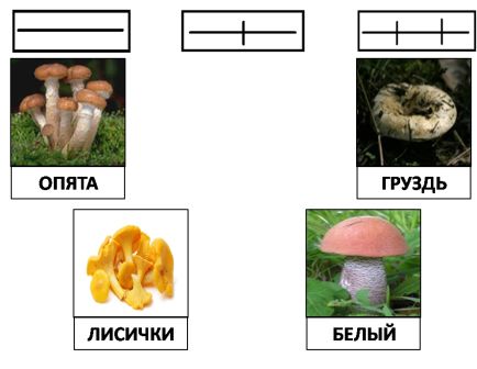 Конспект урока по русскому языку во 2 классе по теме: Деление слов на слоги и для переноса