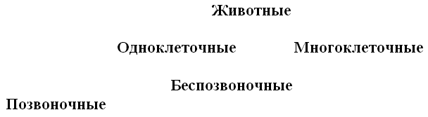 Урок по окружающему миру в 3 классе Животные-живые существа