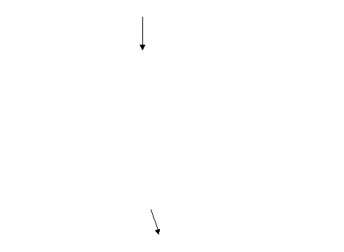 Иррационал теңдеулер және оның жүйесін шешу алгебра пәнінен ашық сабақ жоспары (11 сынып)