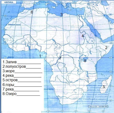 Проверочная работа по географии Природные зоны Африки (7 класс)