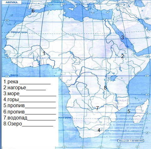 Проверочная работа по географии Природные зоны Африки (7 класс)