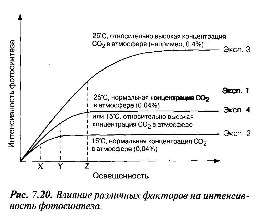 Конспект урока «Автотрофное питание.Фотосинтез»