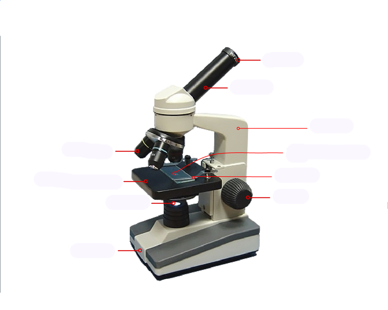 Фото микроскопа 5 класс биология с подписями
