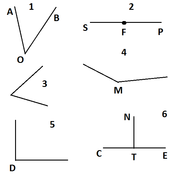 Виды углов математика 5