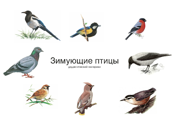 Внеклассное мероприятие День птиц (1-4 классы)